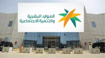 رسوم العمالة الوافدة.. السعودية تقرر تطبيق نظام مالي جديد على المنشآت الوطنية